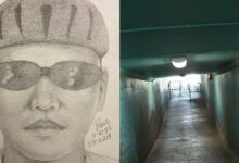 Investigation opened after man reports being sexually assaulted in palo alto baylands