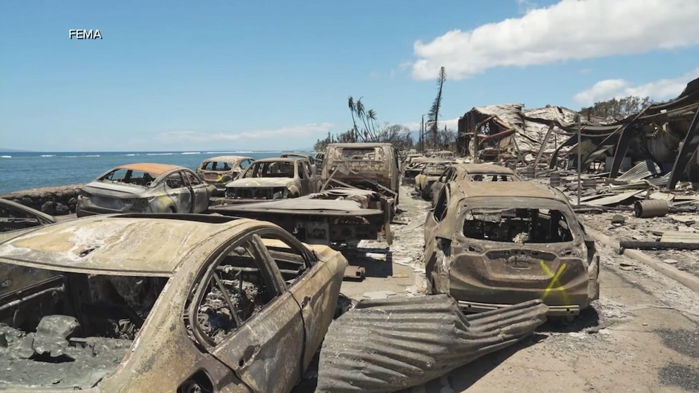 Hawaii wildfire settlement victims trial