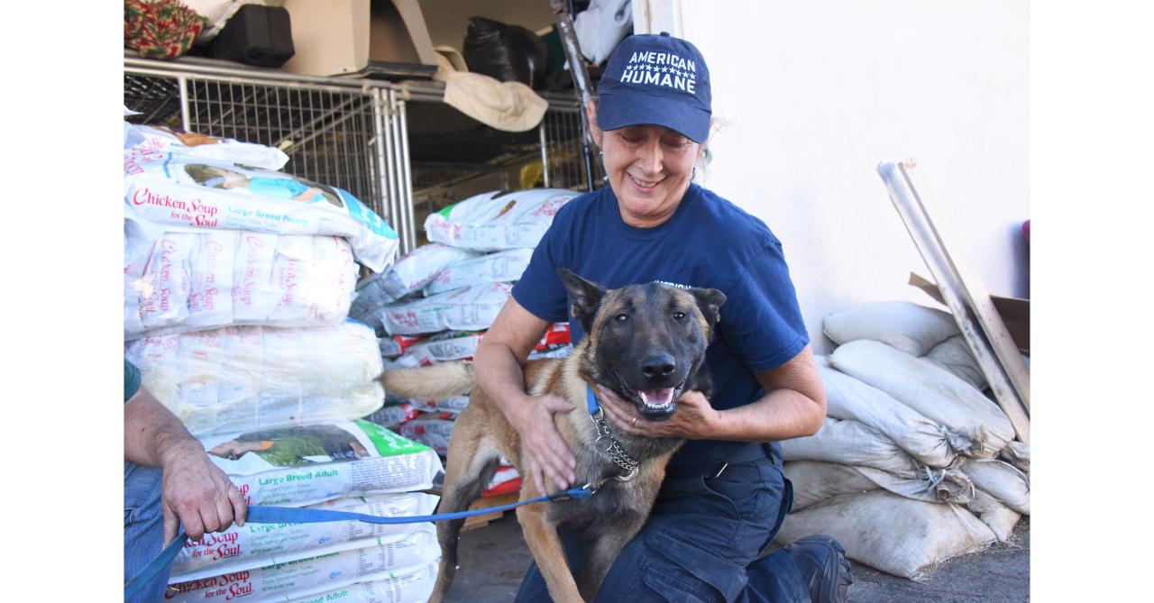 Fire damage at humane society more extensive than first thought