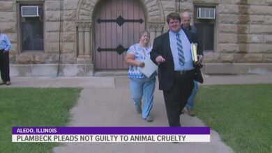 Women charged with animal cruelty in contra costa dog kicking case