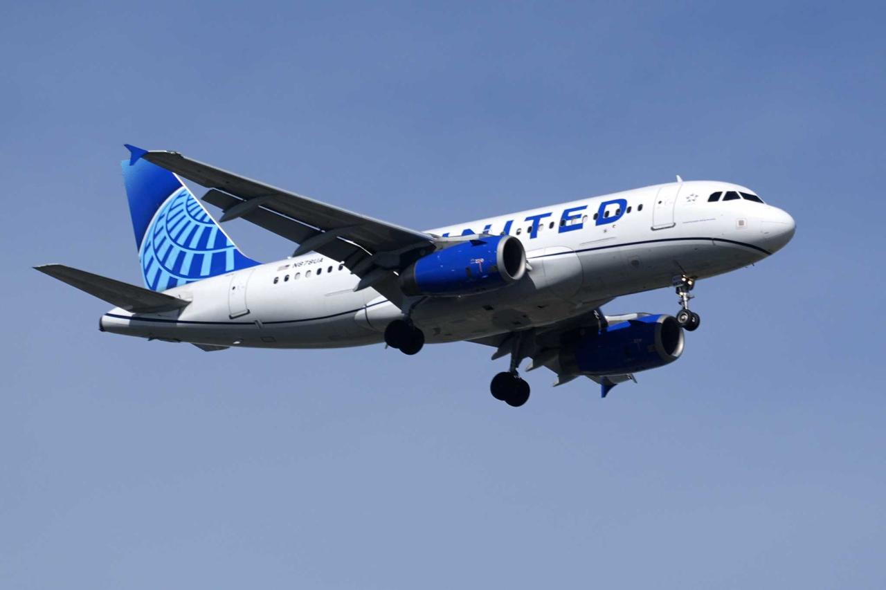 Sfo united flight near collision report