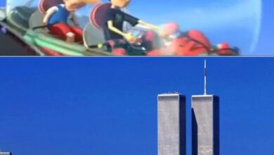 Did the u s send rabbits to france after the country accidentally killed off its bunny population