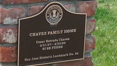 Susan chavez san jose ca