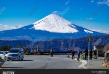 Photo exhibit at hakone shows japan through a contemplative lens