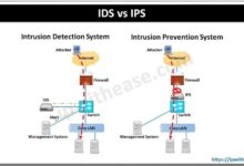 Ids vs ips network security solutions