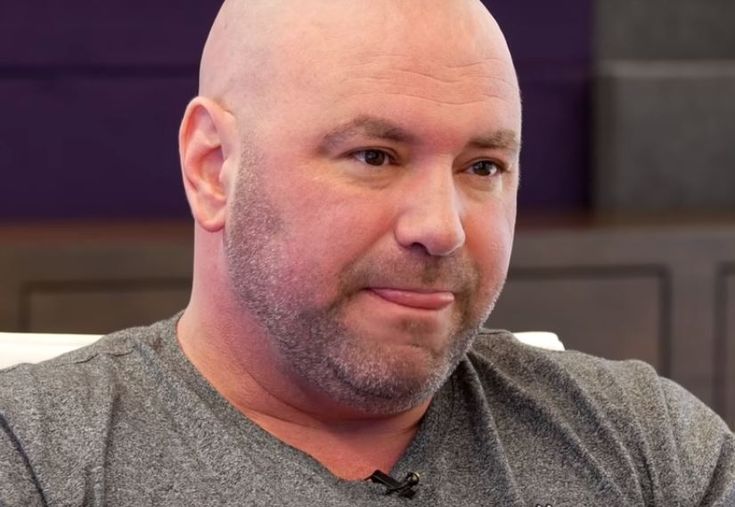 Dana white facebook director