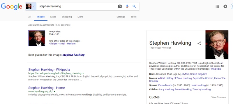 Face recognition search engines
