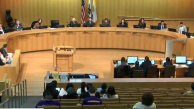 San jose city council appoints carl salas to temporarily serve as district 3 representative