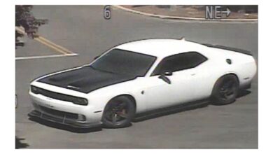 Police investigating attempted robbery in palo alto
