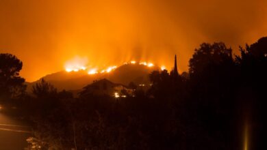 Walters los angeles wildfires insurance premiums