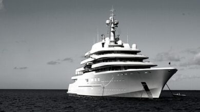 Marin maintains growth in electric vehicle sales