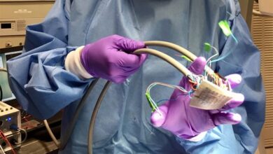 Opinion science progress government heart surgery