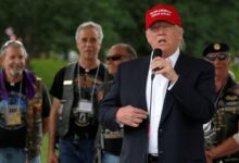 Mathews undocumented america trump