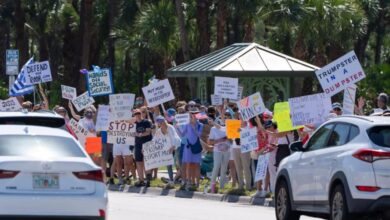 Photos protesters tee off against trump and musk at hands off rallies