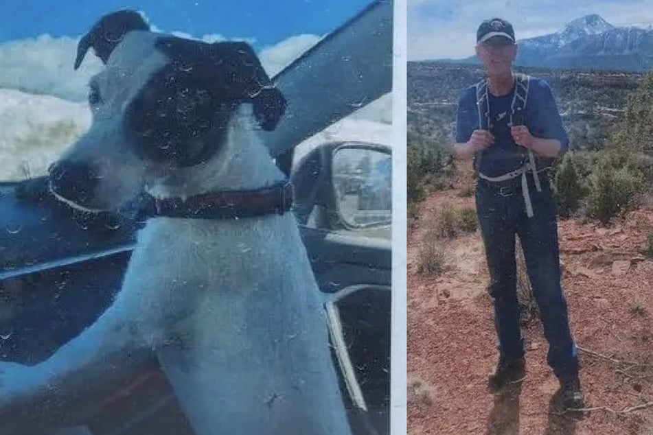 Dog found alive beside body of missing US hiker Rich Moore | The Weekly ... Carmel valley man found dead after trying to find lost dog