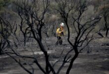 Opinion california climate disasters