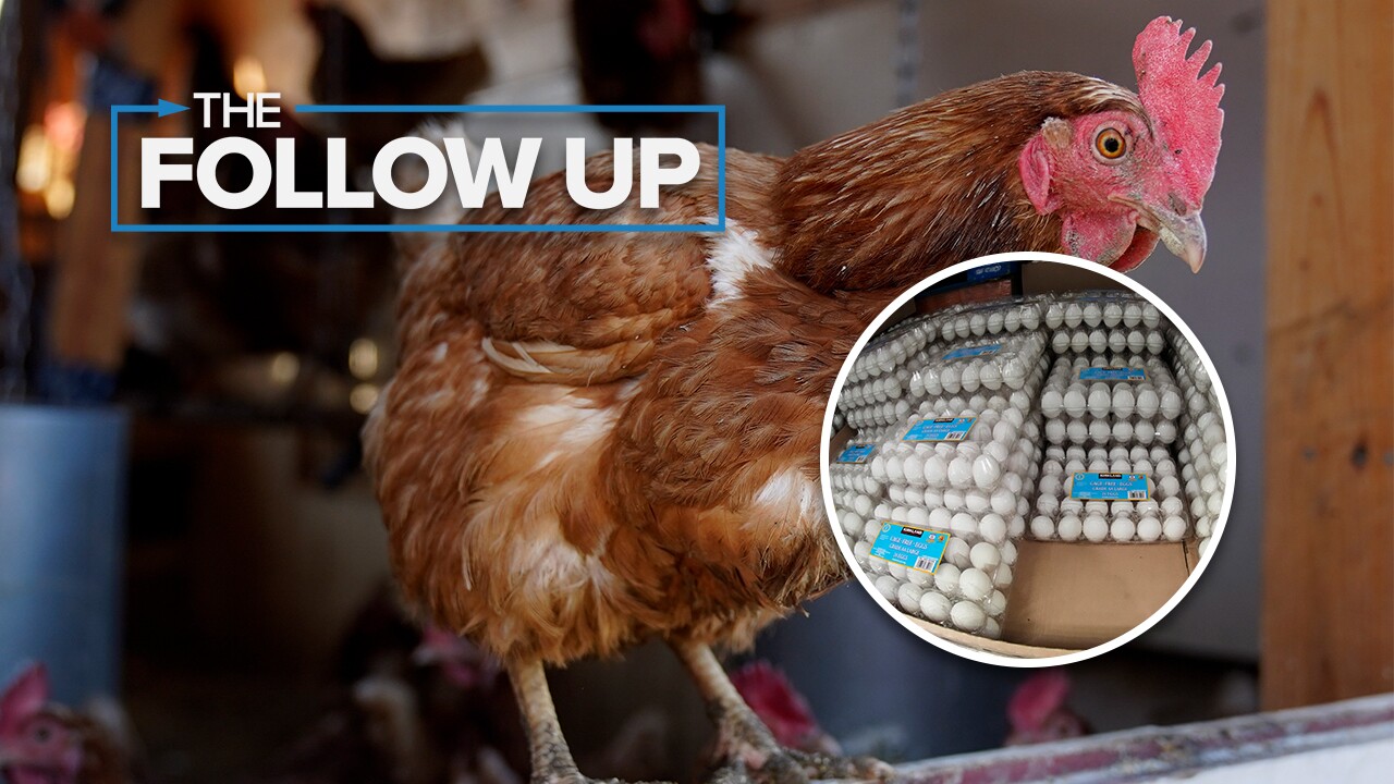 Conditional approval bird flu vaccine us department of agriculture