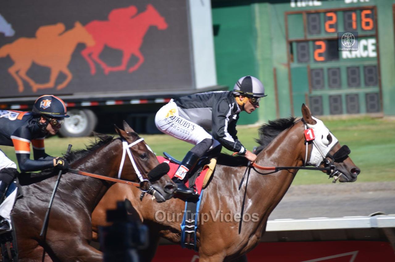 The end of pleasanton horse racing
