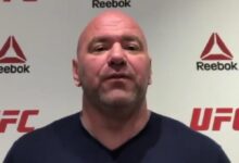 Dana white facebook director