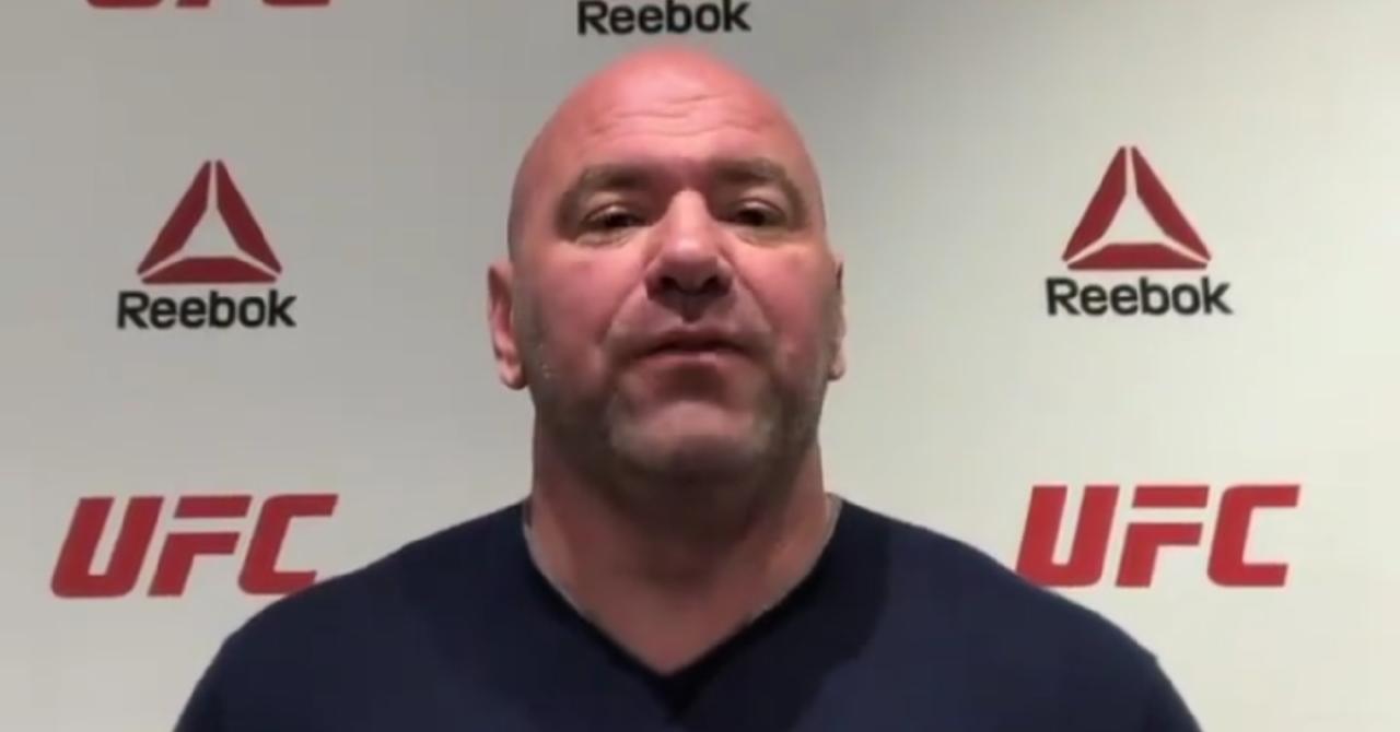 Dana white facebook director