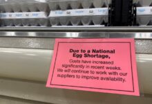 Surging egg prices boost vegan alternatives made with mung beans