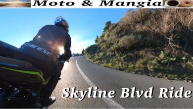 Bodies pickup skyline boulevard