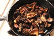 Learn to cook morels and more at berkeleys tilden fungus fair