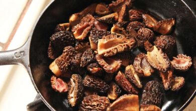 Learn to cook morels and more at berkeleys tilden fungus fair