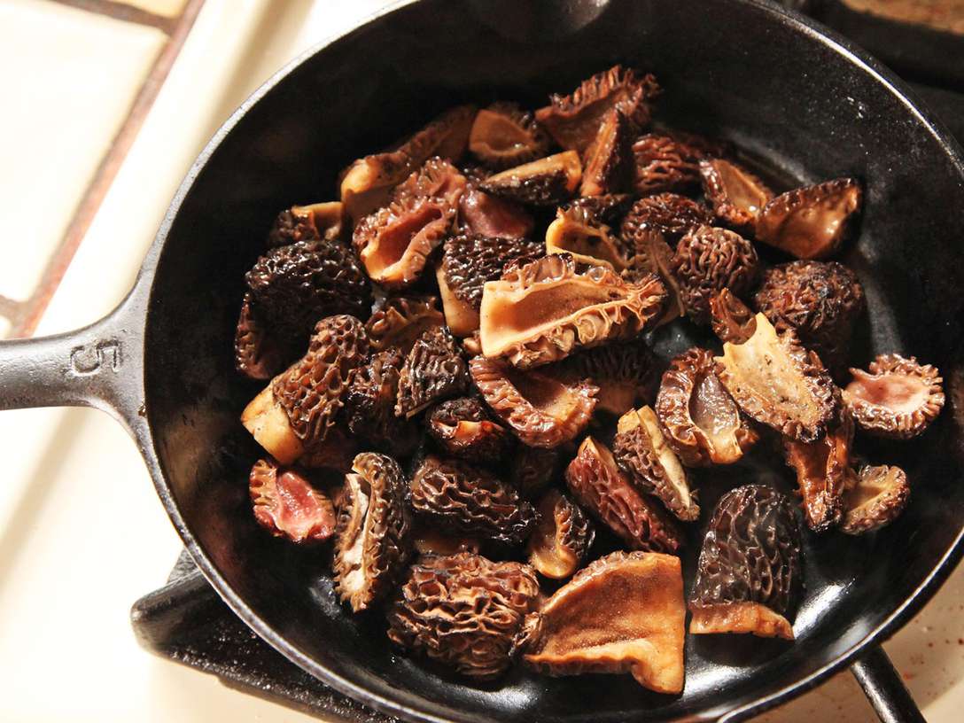 Learn to cook morels and more at berkeleys tilden fungus fair