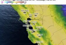 A wet weather pattern is starting to settle into the bay area