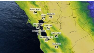 A wet weather pattern is starting to settle into the bay area