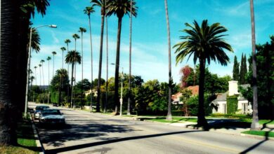 Beverly eade gold hill or