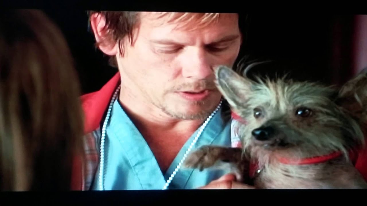 Dog man bests heart eyes love hurts at box office