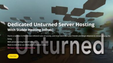 Best unturned server hosting