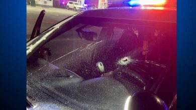 San jose police officer involved shooting arrests mclaughlin