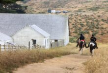 Marin ranchers sue us over point reyes land deal