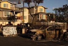 Hawaii wildfire settlement victims trial
