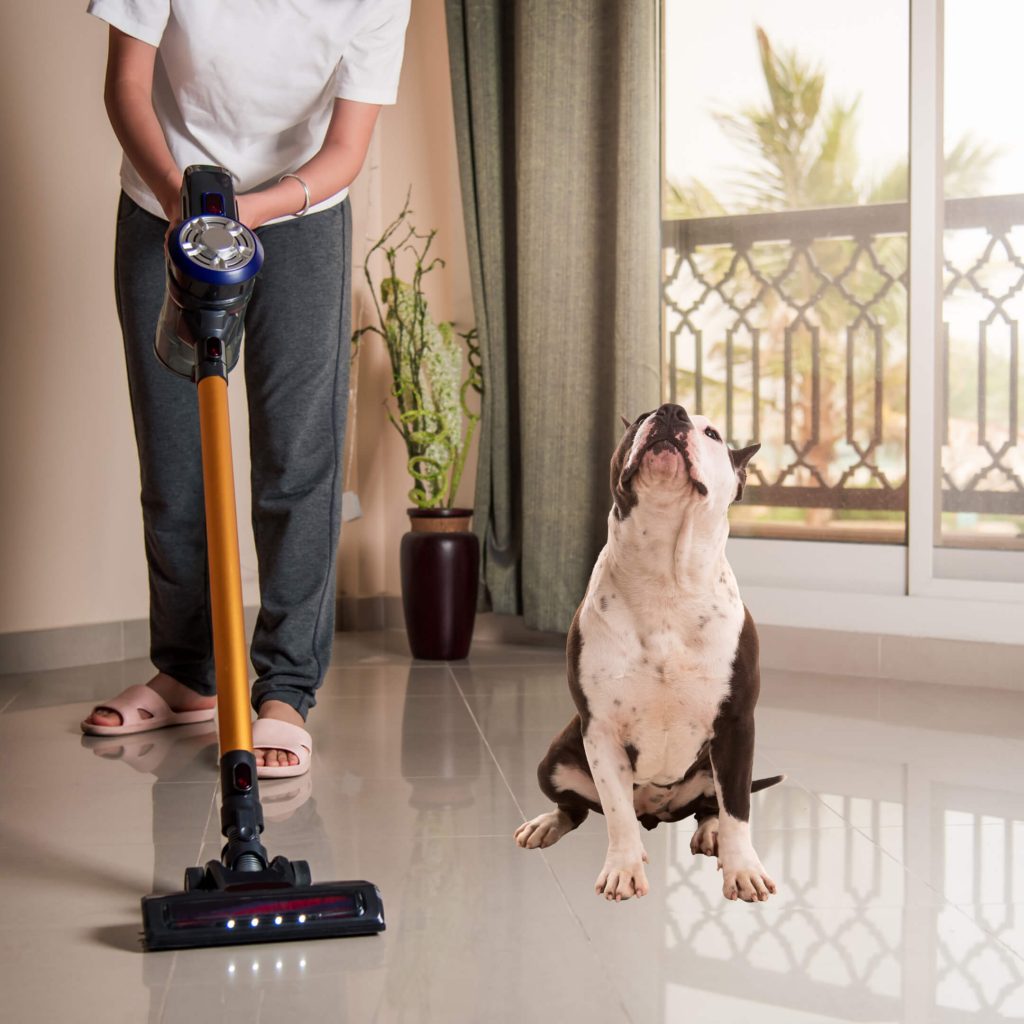 Pet vacuum hair cleaner hygienic friendly keep Keep your home fur free with these powerful pet vacuums