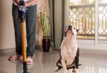 Keep your home fur free with these powerful pet vacuums