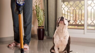 Keep your home fur free with these powerful pet vacuums