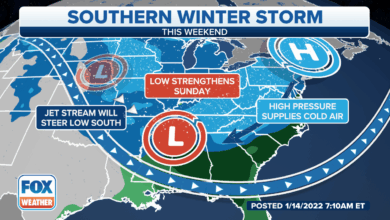Winter storm deep south us
