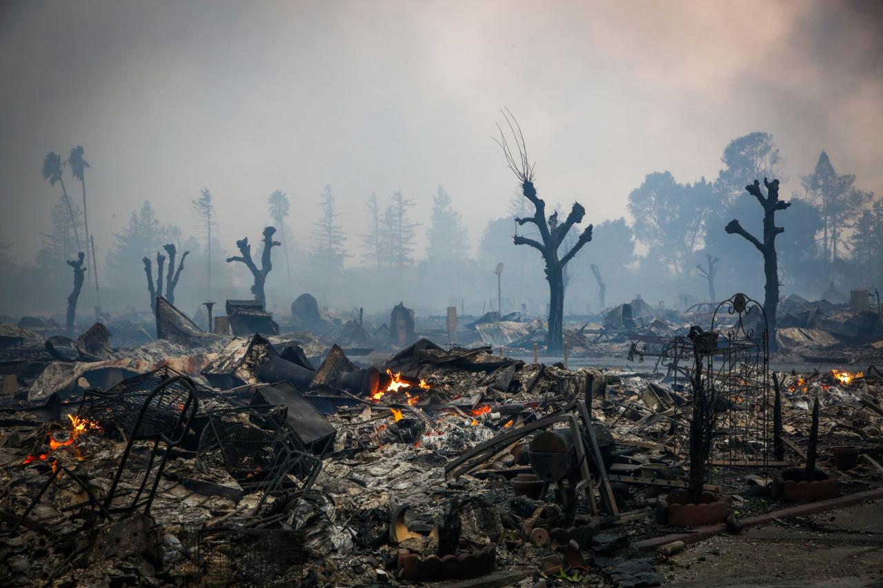 How the la fires will effect cannabis crops