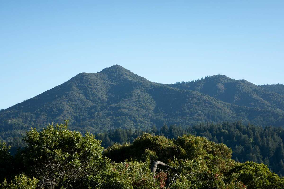 Marin reverses erroneous tax sale of tiburon property