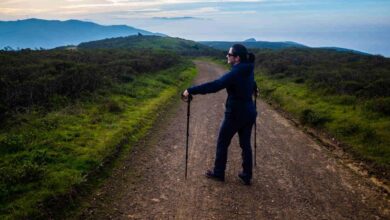 Marin hike an adventure through tiburon