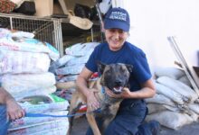 Fire damage at humane society more extensive than first thought