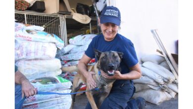 Fire damage at humane society more extensive than first thought