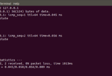 What is ping and command examples