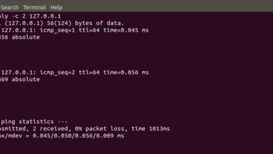 What is ping and command examples