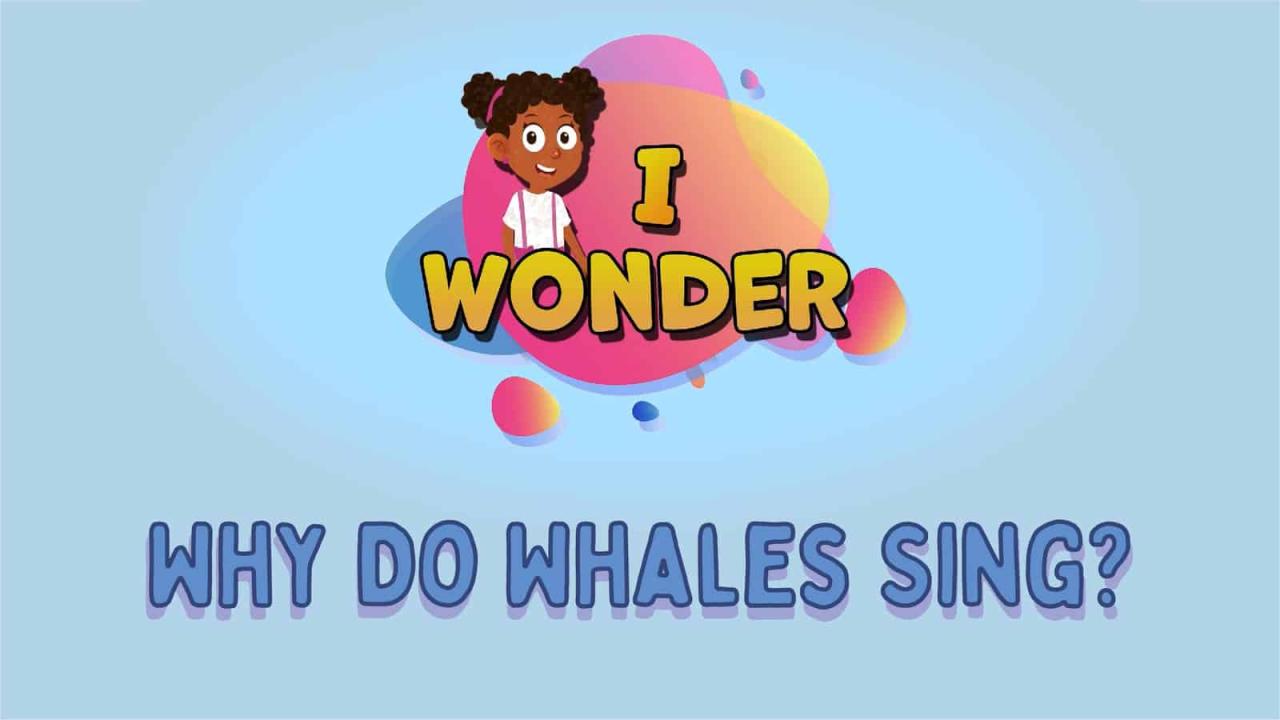 Why we should worry when whales stop singing