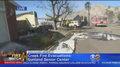 Fast moving wind driven hurst fire forces evacuations in sylmar